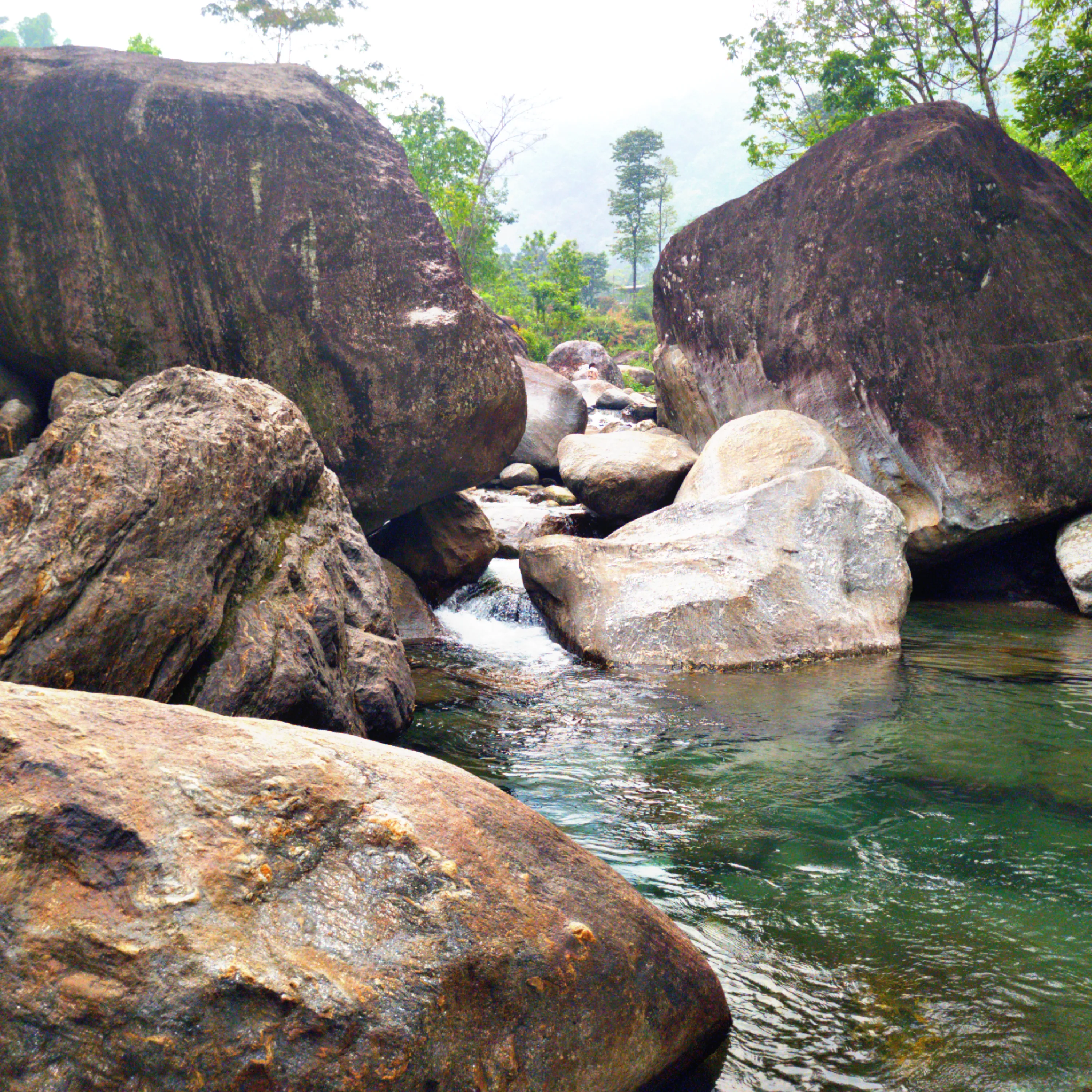 Sittong